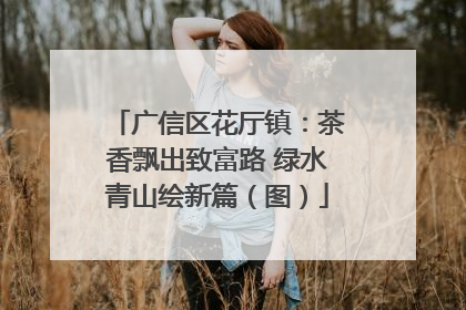 广信区花厅镇：茶香飘出致富路 绿水青山绘新篇（图）