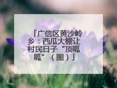 广信区黄沙岭乡：西瓜大棚让村民日子“顶呱呱”（图）