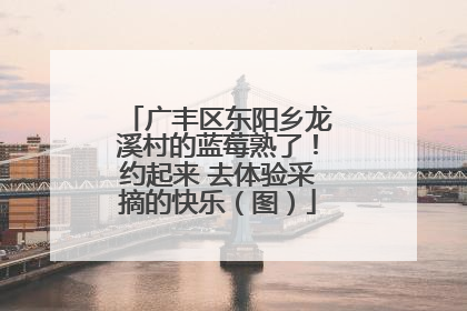 广丰区东阳乡龙溪村的蓝莓熟了！约起来 去体验采摘的快乐（图）
