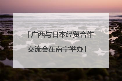 广西与日本经贸合作交流会在南宁举办