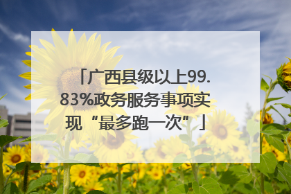 广西县级以上99.83%政务服务事项实现“最多跑一次”