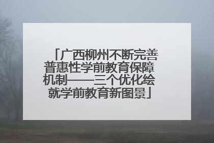 广西柳州不断完善普惠性学前教育保障机制——三个优化绘就学前教育新图景