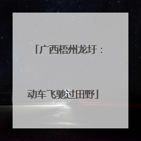 广西梧州龙圩：动车飞驰过田野