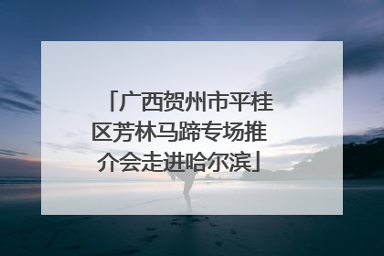 广西贺州市平桂区芳林马蹄专场推介会走进哈尔滨