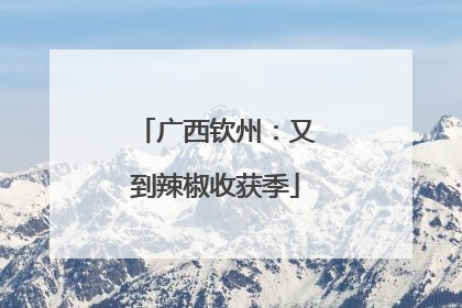 广西钦州：又到辣椒收获季