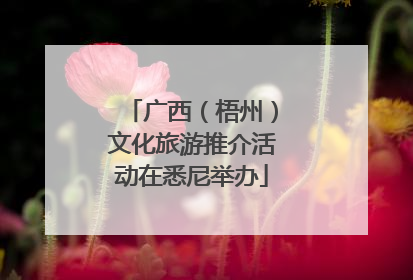 广西（梧州）文化旅游推介活动在悉尼举办