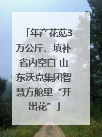 年产花菇3万公斤、填补省内空白 山东沃克集团智慧方舱里“开出花”