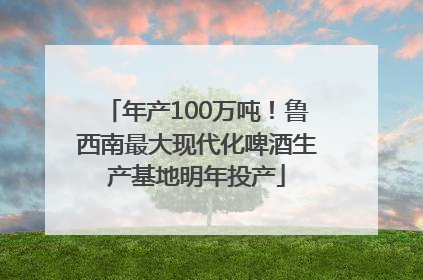 年产100万吨！鲁西南最大现代化啤酒生产基地明年投产