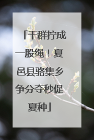 干群拧成一股绳！夏邑县骆集乡争分夺秒促夏种