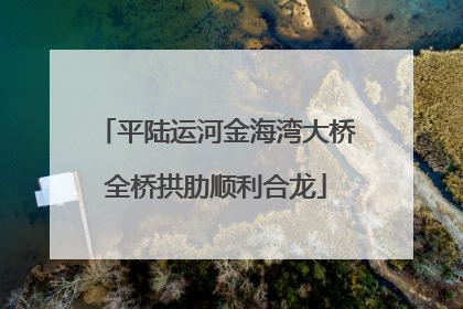 平陆运河金海湾大桥全桥拱肋顺利合龙