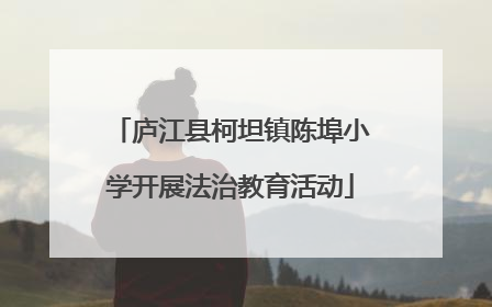 庐江县柯坦镇陈埠小学开展法治教育活动