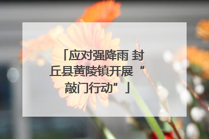 应对强降雨 封丘县黄陵镇开展“敲门行动”