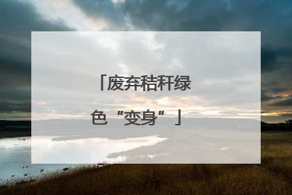 废弃秸秆绿色“变身”