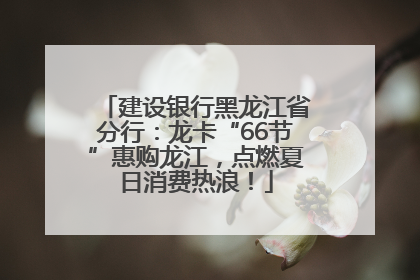 建设银行黑龙江省分行：龙卡“66节”惠购龙江，点燃夏日消费热浪！