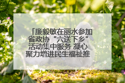廉毅敏在丽水参加省政协“六送下乡”活动集中服务 凝心聚力增进民生福祉推进共同富裕