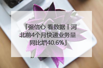 强信心 看数据丨河北前4个月快递业务量同比增40.6%