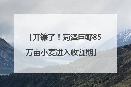 开镰了！菏泽巨野85万亩小麦进入收割期