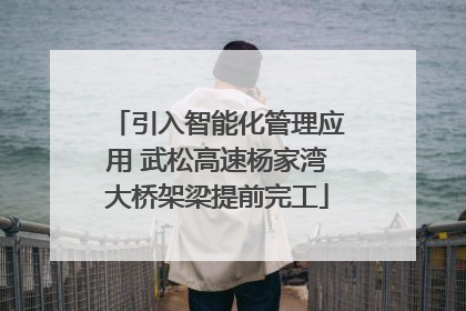 引入智能化管理应用 武松高速杨家湾大桥架梁提前完工