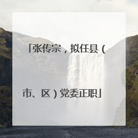 张传宗，拟任县（市、区）党委正职