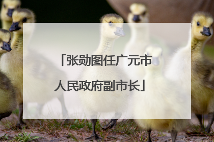 张勋图任广元市人民政府副市长
