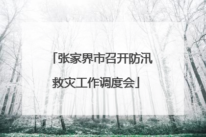 张家界市召开防汛救灾工作调度会