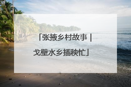 张掖乡村故事｜戈壁水乡插秧忙