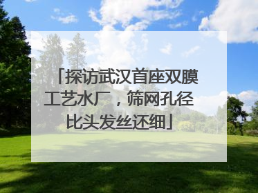 探访武汉首座双膜工艺水厂，筛网孔径比头发丝还细