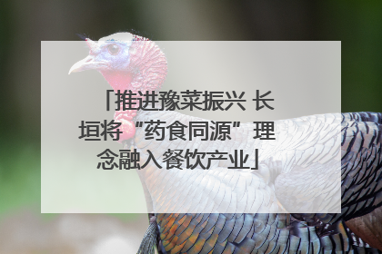 推进豫菜振兴 长垣将“药食同源”理念融入餐饮产业