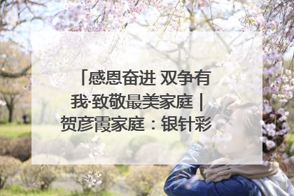 感恩奋进 双争有我·致敬最美家庭｜贺彦霞家庭：银针彩线绣出好日子