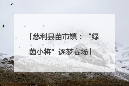 慈利县苗市镇：“绿茵小将”逐梦赛场