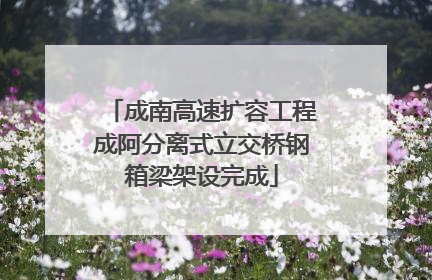 成南高速扩容工程成阿分离式立交桥钢箱梁架设完成