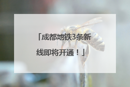 成都地铁3条新线即将开通！
