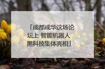 成都成华这场论坛上 智能机器人黑科技集体亮相