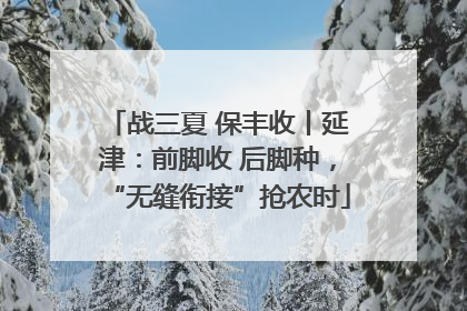 战三夏 保丰收丨延津：前脚收 后脚种，“无缝衔接”抢农时
