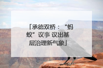 承德双桥：“蚂蚁”议事 议出基层治理新气象