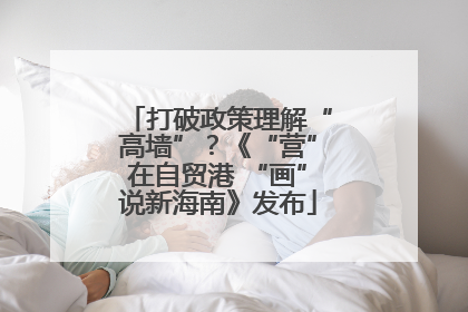 打破政策理解“高墙”？《“营”在自贸港 “画”说新海南》发布