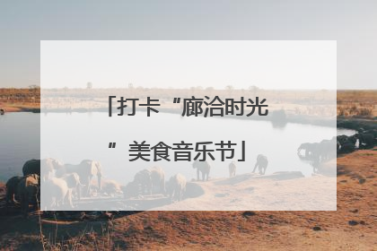 打卡“廊洽时光”美食音乐节