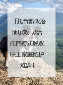 托育新政落地见效 灵活托育模式解双职工家庭照护难题