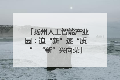 扬州人工智能产业园：追“新”逐“质” “新”兴向荣