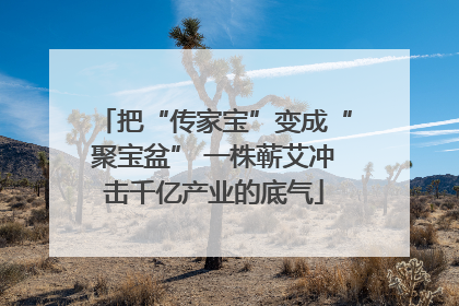 把“传家宝”变成“聚宝盆” 一株蕲艾冲击千亿产业的底气