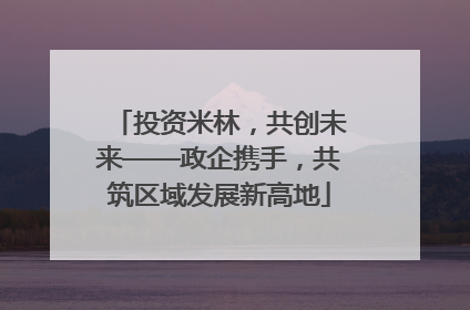 投资米林，共创未来——政企携手，共筑区域发展新高地