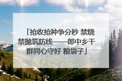 抢收抢种争分秒 禁烧禁抛筑防线——郎中乡干群同心守好 粮袋子