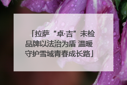 拉萨“卓·吉”未检品牌以法治为盾 温暖守护雪域青春成长路