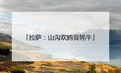拉萨：山沟欢腾赛牦牛
