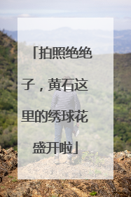 拍照绝绝子，黄石这里的绣球花盛开啦