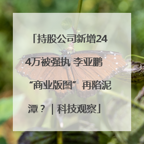 持股公司新增244万被强执 李亚鹏“商业版图”再陷泥潭？｜科技观察