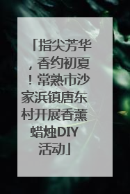 指尖芳华，香约初夏！常熟市沙家浜镇唐东村开展香薰蜡烛DIY活动