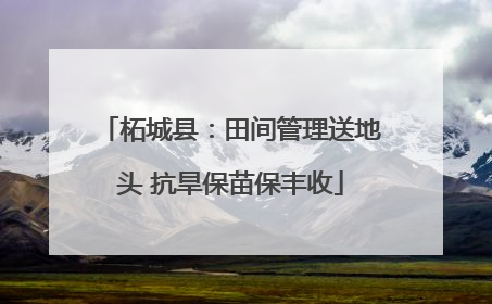 柘城县：田间管理送地头 抗旱保苗保丰收