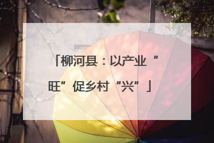 柳河县：以产业“旺”促乡村“兴”