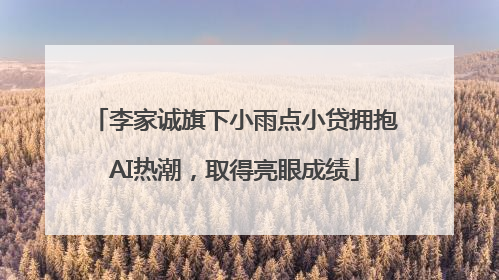 李家诚旗下小雨点小贷拥抱AI热潮，取得亮眼成绩
